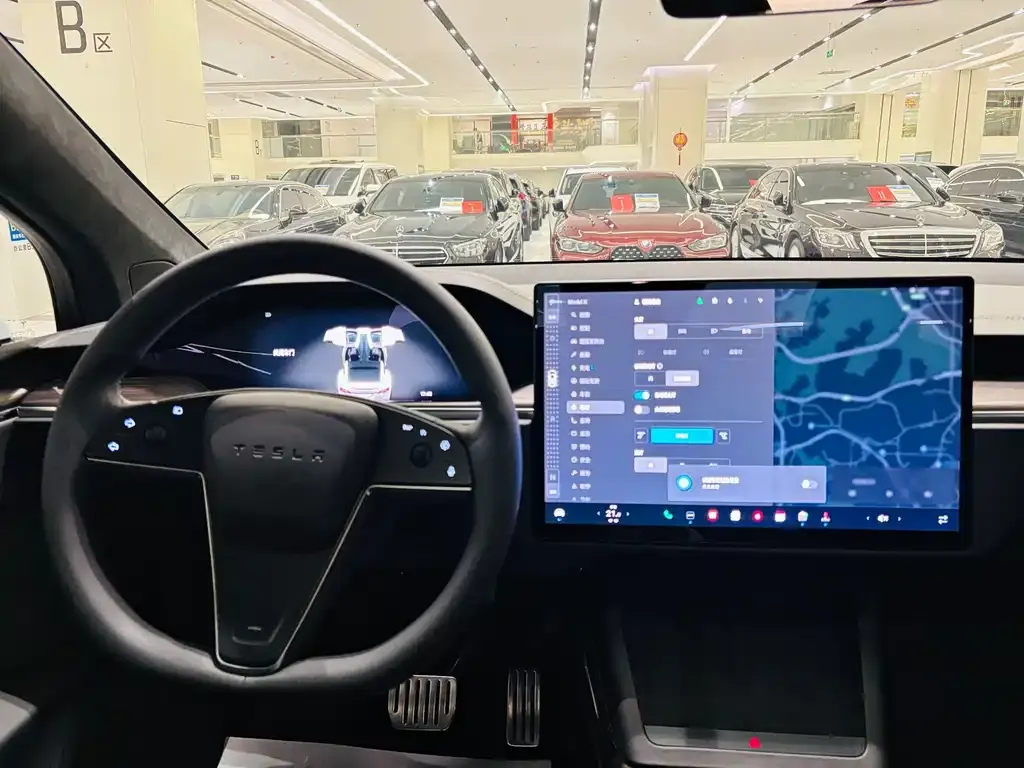 Tesla Model X 2023 из CN, фото 9
