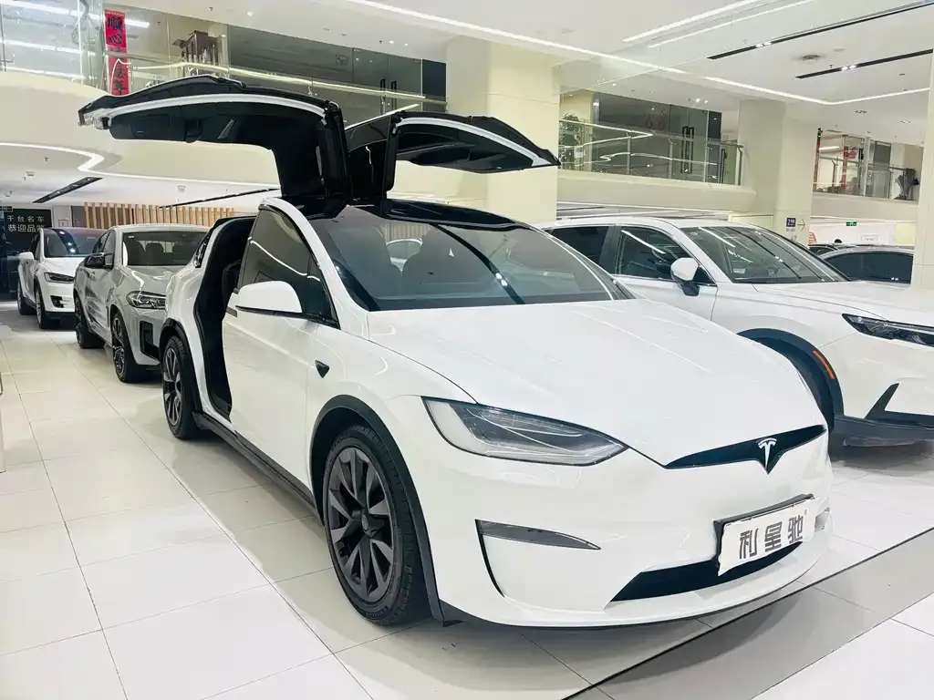 Tesla Model X 2023 из CN, фото 8