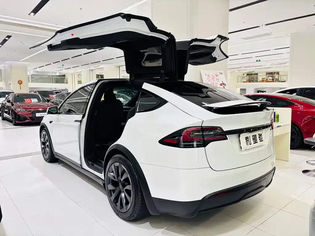 Tesla Model X 2023 из CN, фото 7