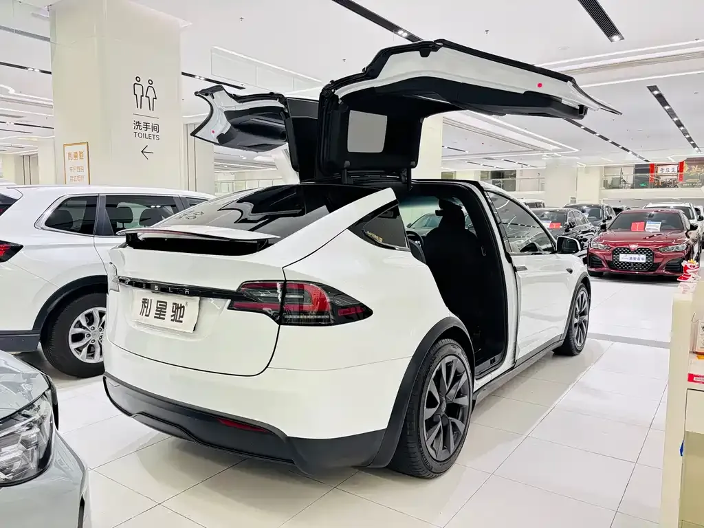 Tesla Model X 2023 из CN, фото 6