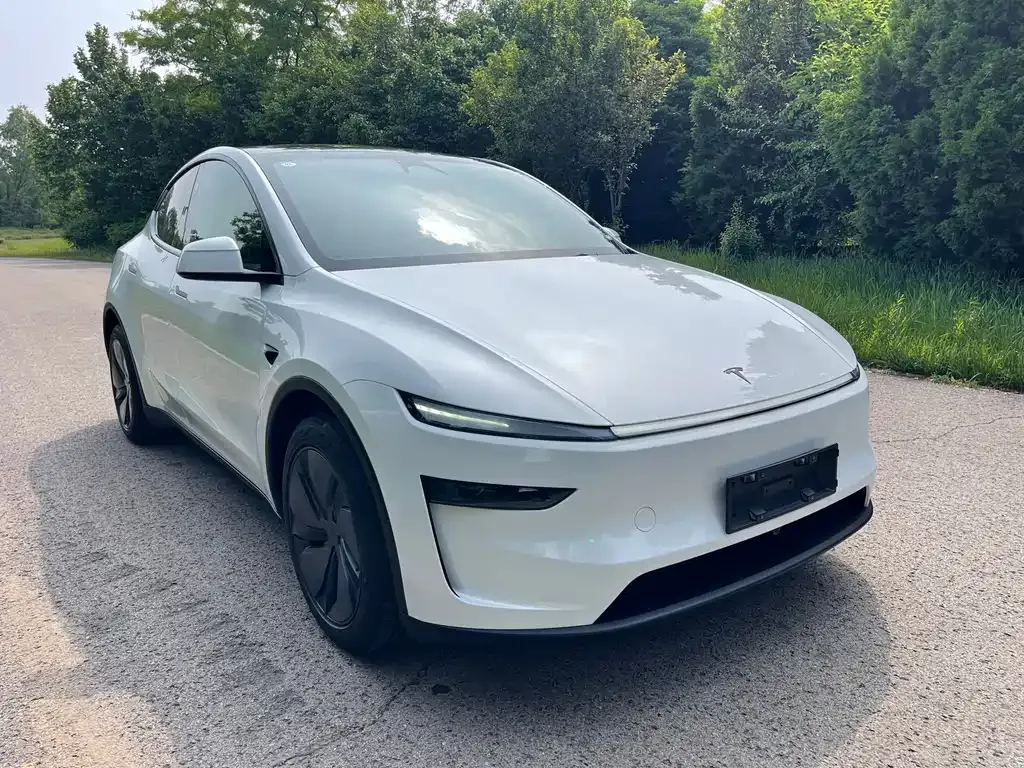 Tesla Model Y — фото 10