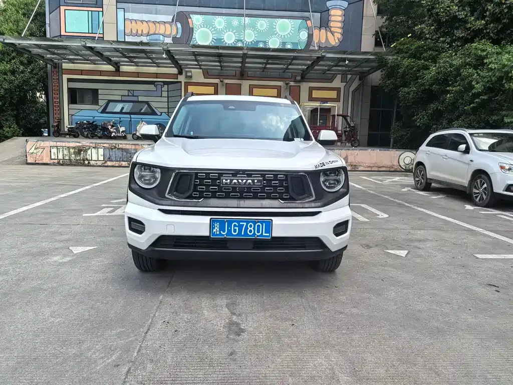 Haval H7 (Big Dog Plus) 2023 из CN, фото 9