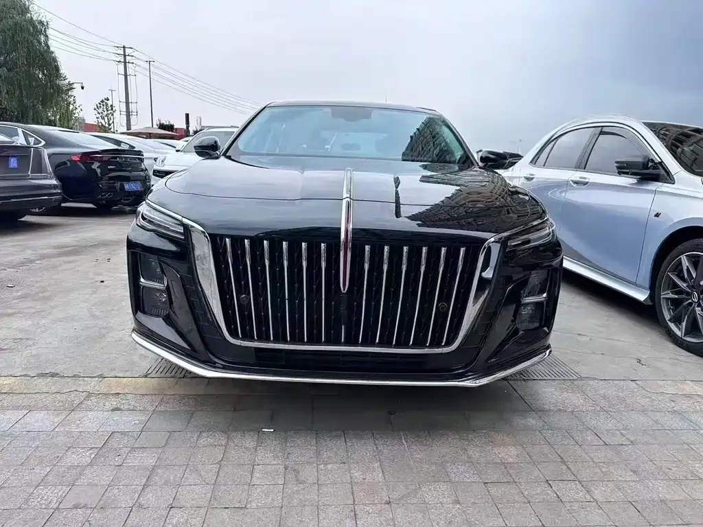 Hongqi H5 2024 из CN, фото 1