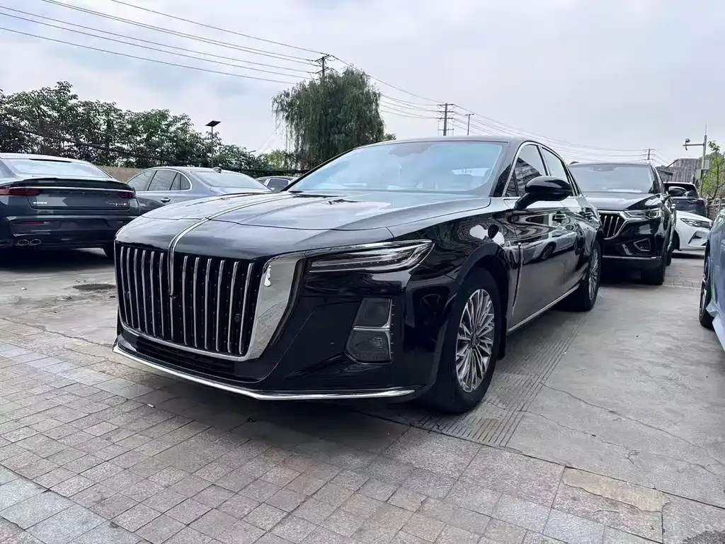 Hongqi H5 2024 из CN, фото 5