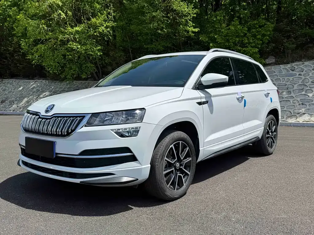 Skoda Karoq — фото 1