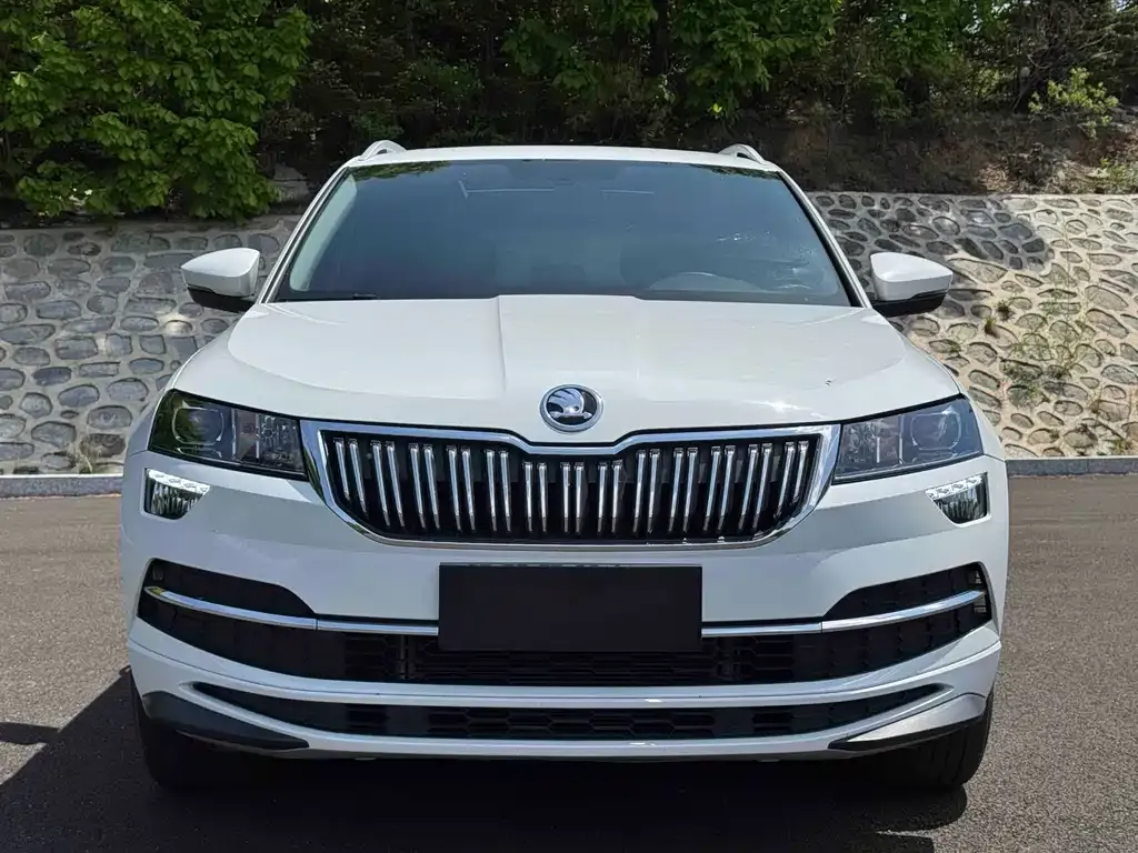 Skoda Karoq — фото 9