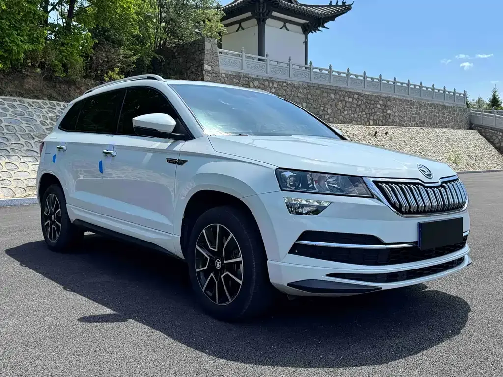 Skoda Karoq — фото 10