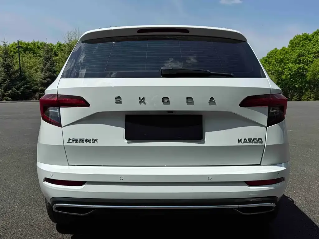 Skoda Karoq — фото 7