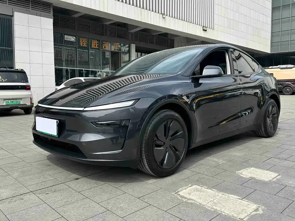 Tesla Model Y — фото 1