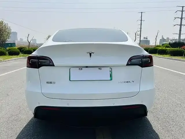 Tesla Model Y — фото 2