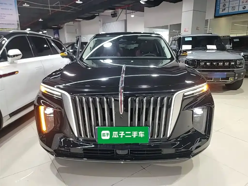 Hongqi E-HS9 — фото 3
