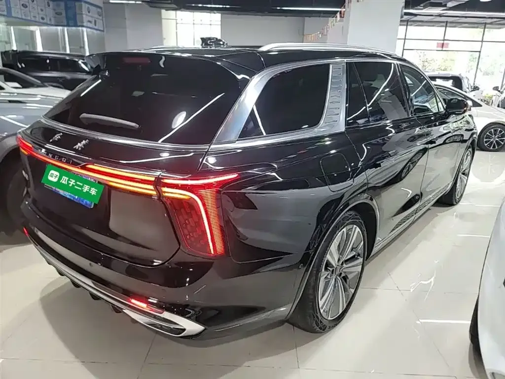 Hongqi E-HS9 — фото 4