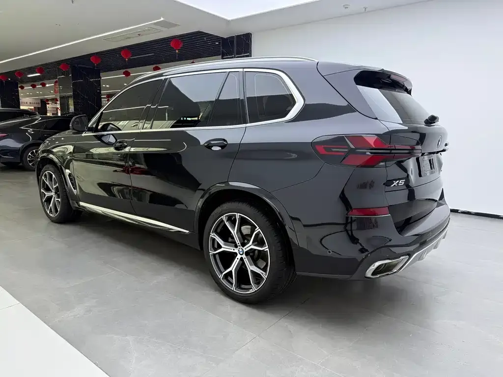 BMW X5 — фото 10