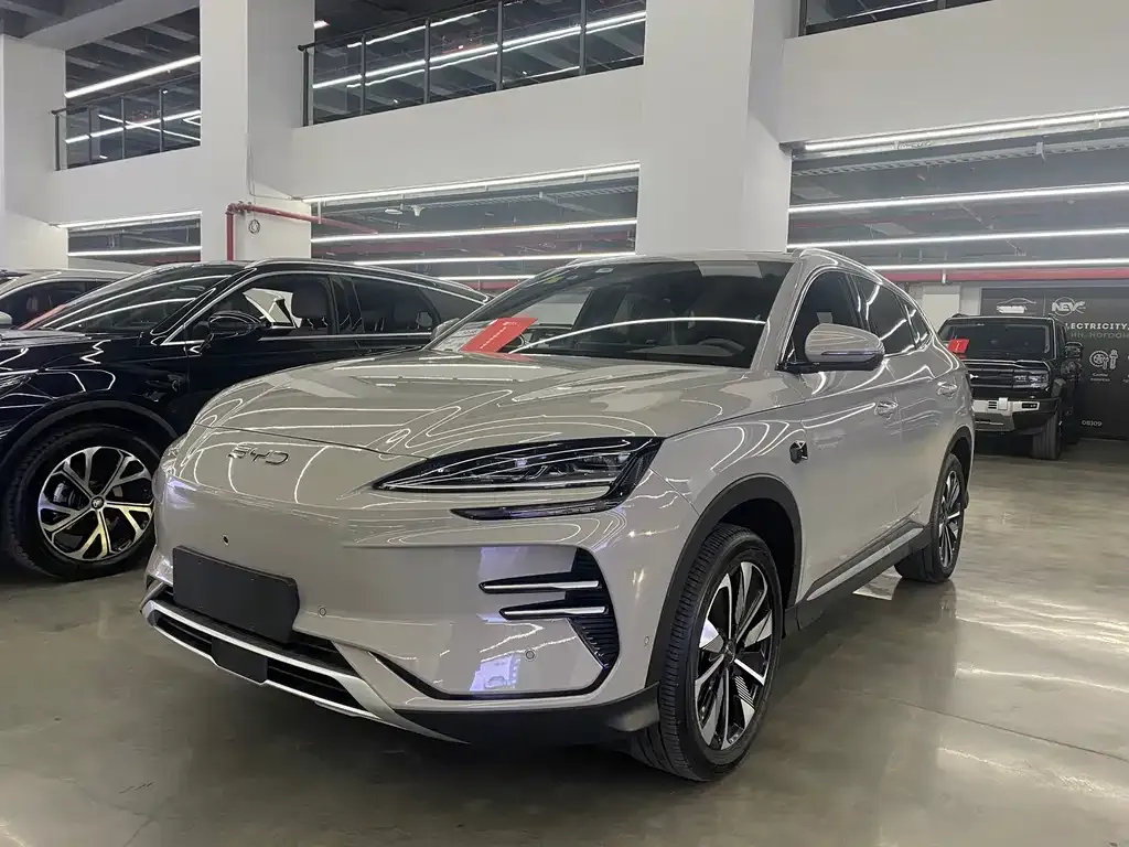 BYD PLUS New Energy — фото 1
