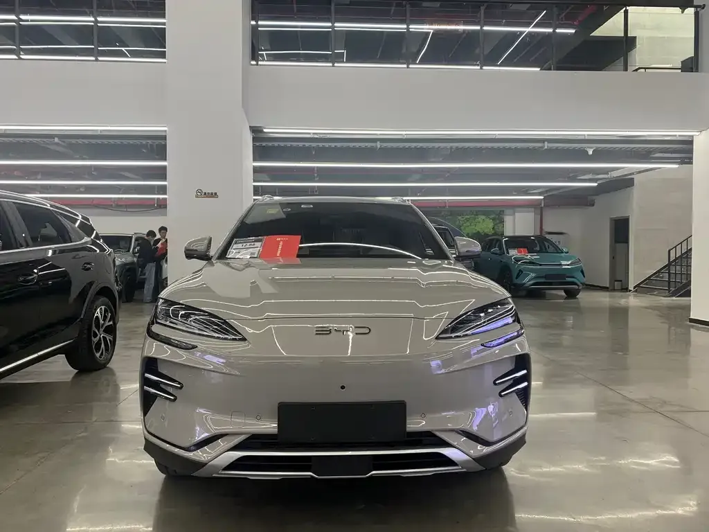 BYD PLUS New Energy — фото 2