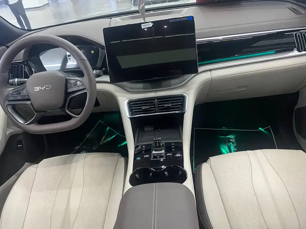 BYD PLUS New Energy — фото 4