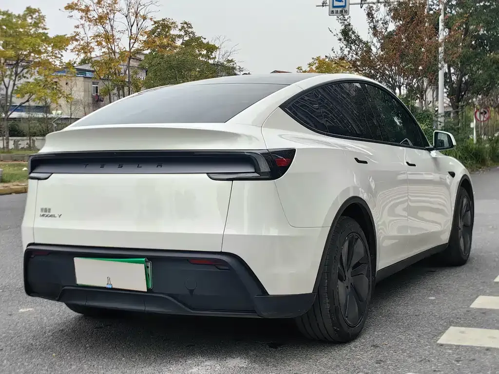 Tesla Model Y — фото 8