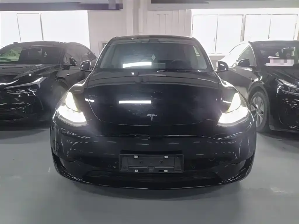 Tesla Model Y — фото 2