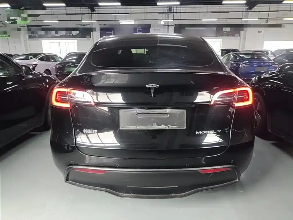 Tesla Model Y — фото 9