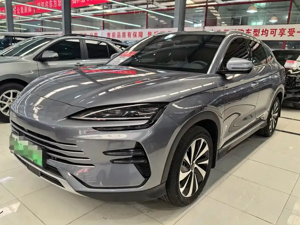 BYD PLUS New Energy — фото 1