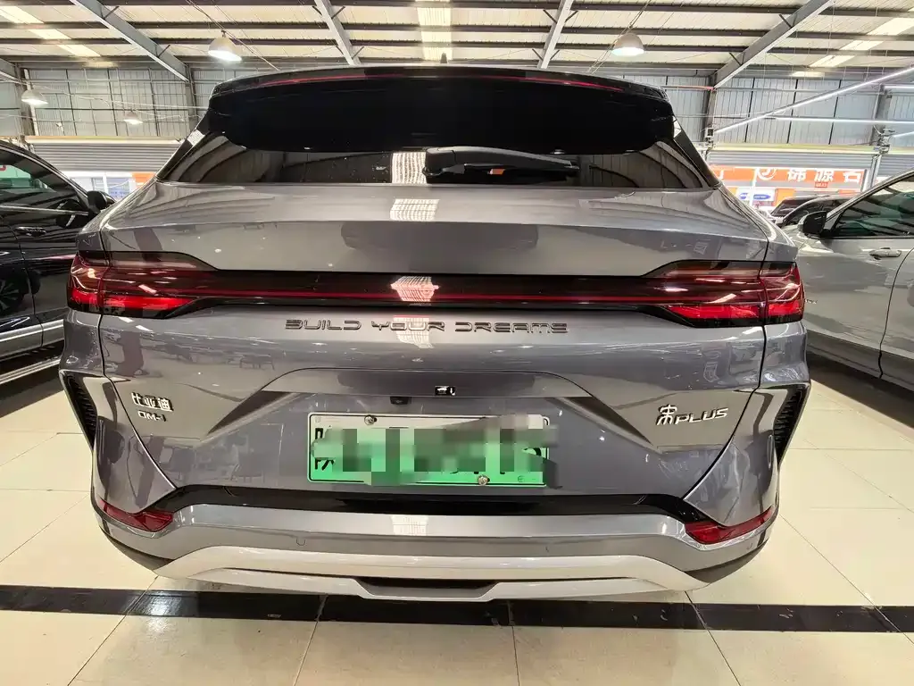 BYD PLUS New Energy — фото 2