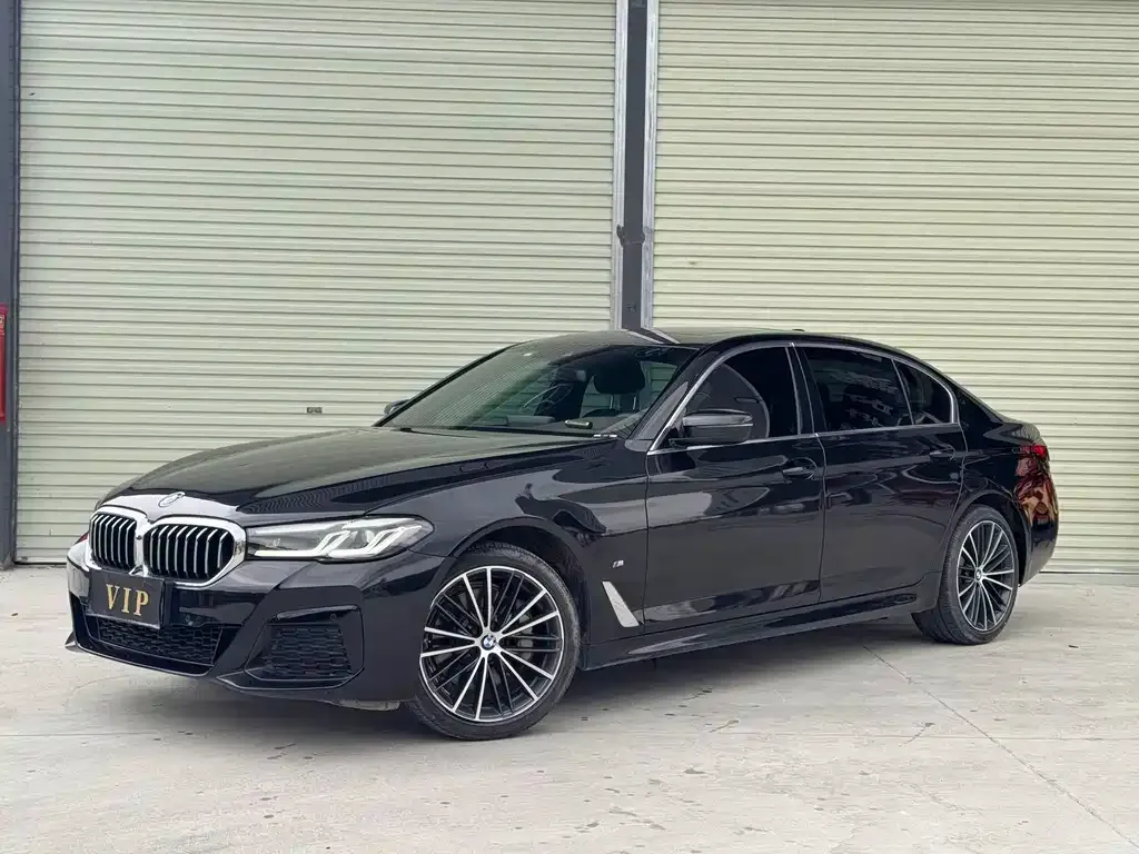 BMW 5 Series 2023 из CN, фото 1
