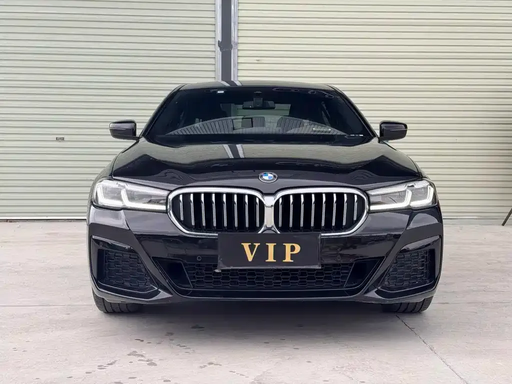 BMW 5 Series 2023 из CN, фото 3