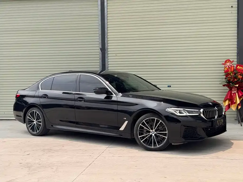 BMW 5 Series 2023 из CN, фото 5