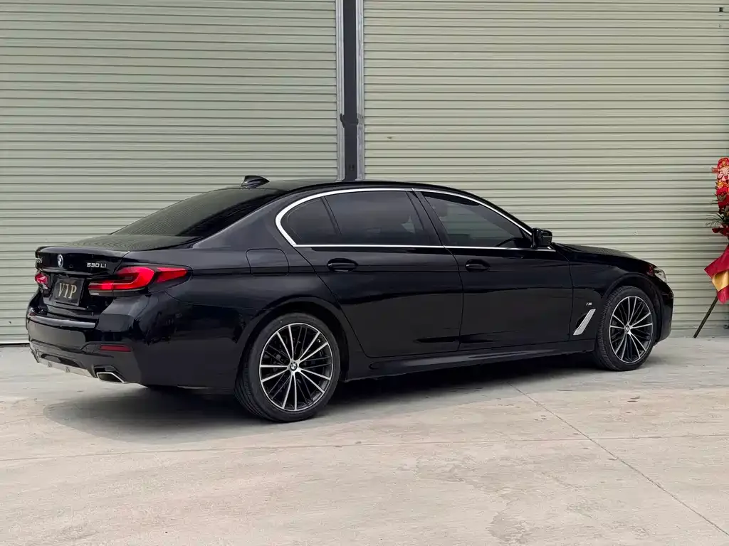 BMW 5 Series 2023 из CN, фото 9