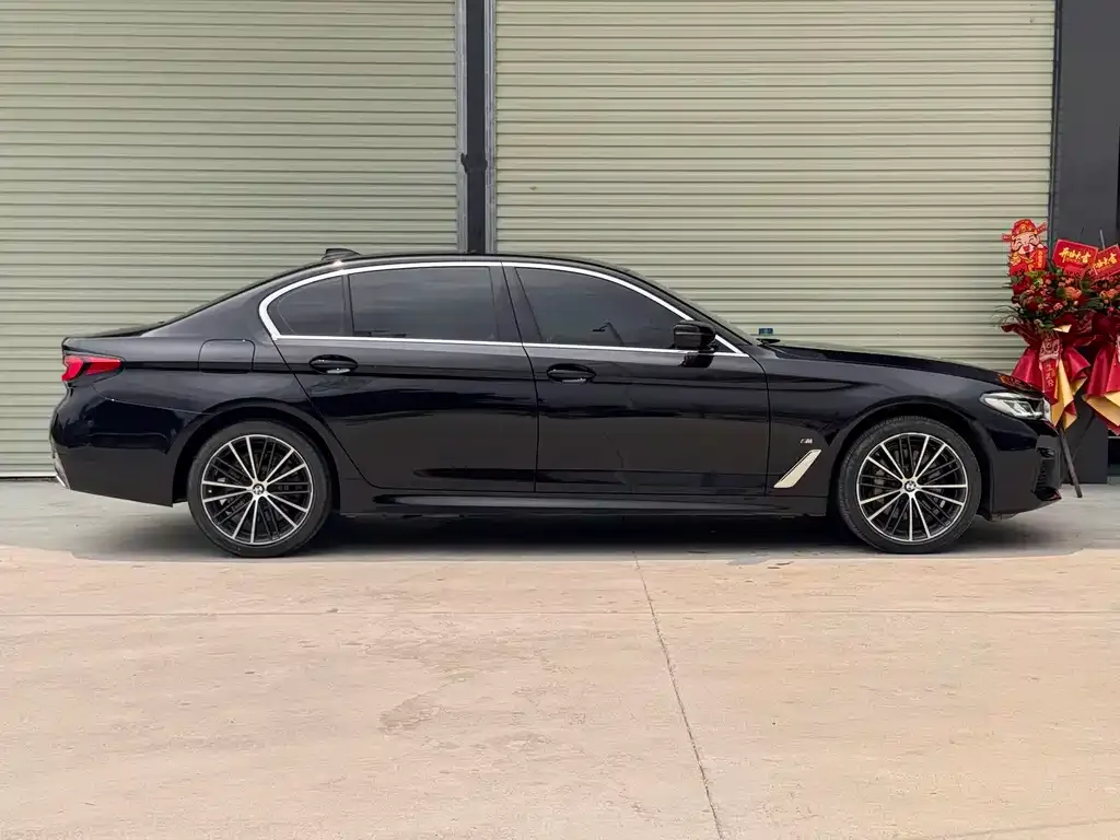 BMW 5 Series 2023 из CN, фото 6