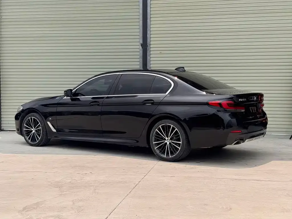 BMW 5 Series 2023 из CN, фото 7