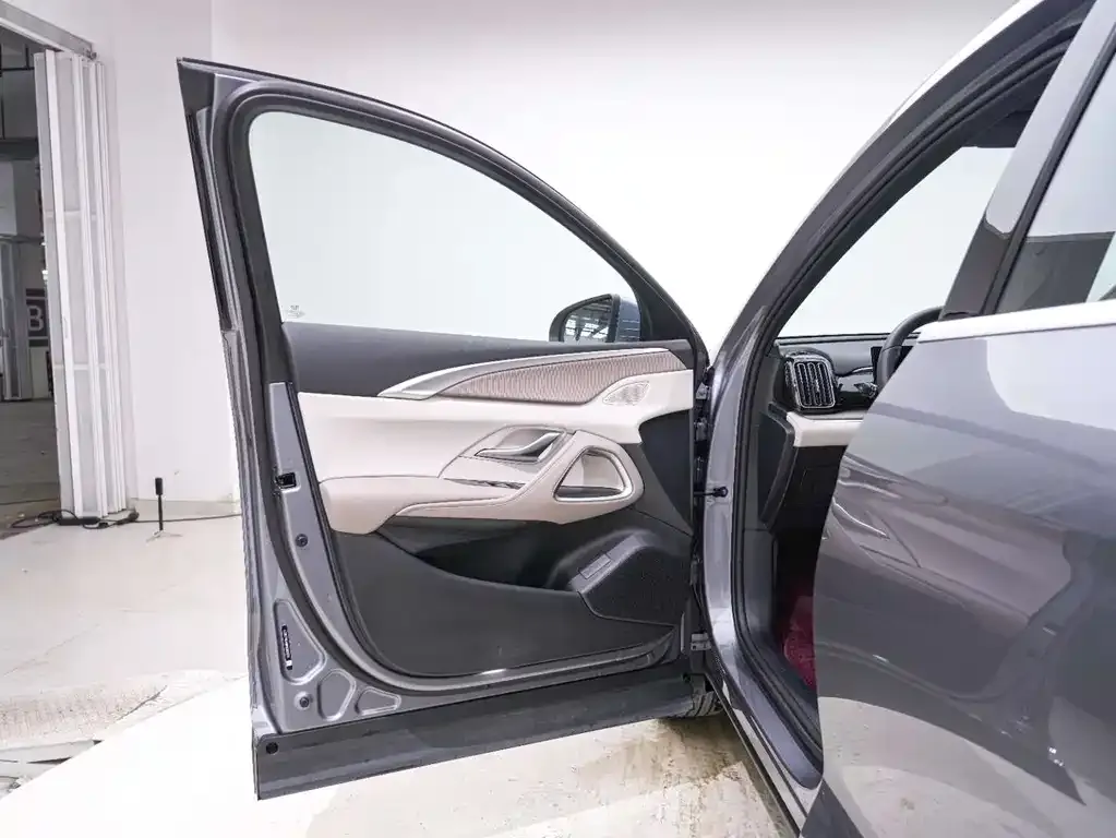 BYD Pro New Energy 2024 из CN, фото 10