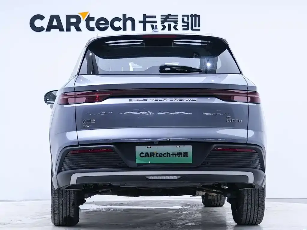BYD Pro New Energy 2024 из CN, фото 3