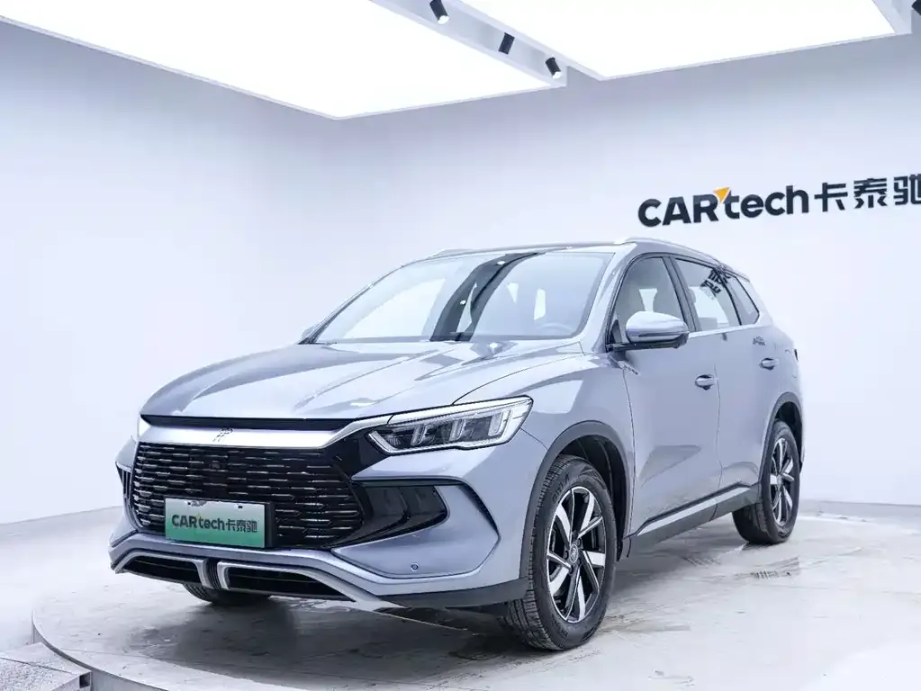 BYD Pro New Energy 2024 из CN, фото 2