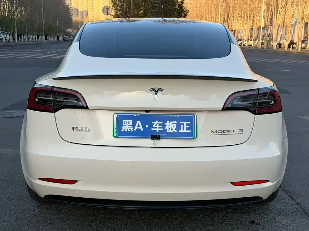 Tesla Model 3 — фото 9