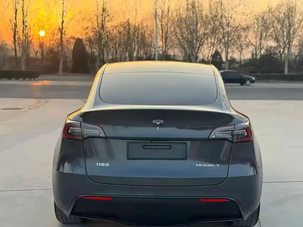 Tesla Model Y — фото 2