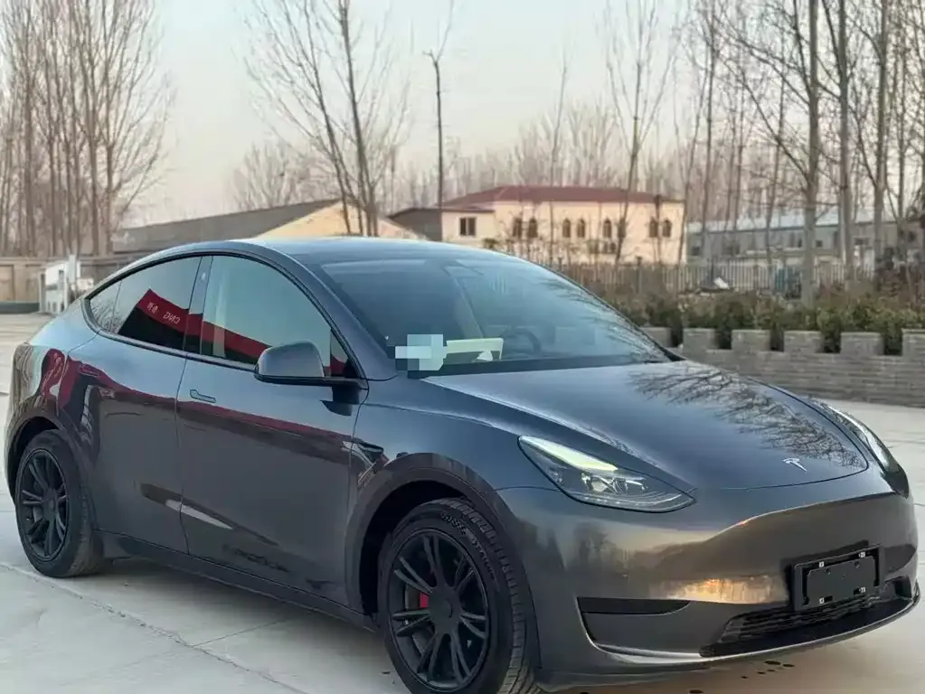 Tesla Model Y — фото 9