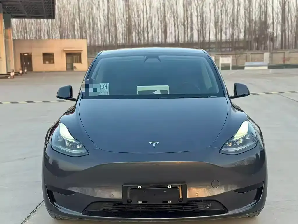 Tesla Model Y — фото 5