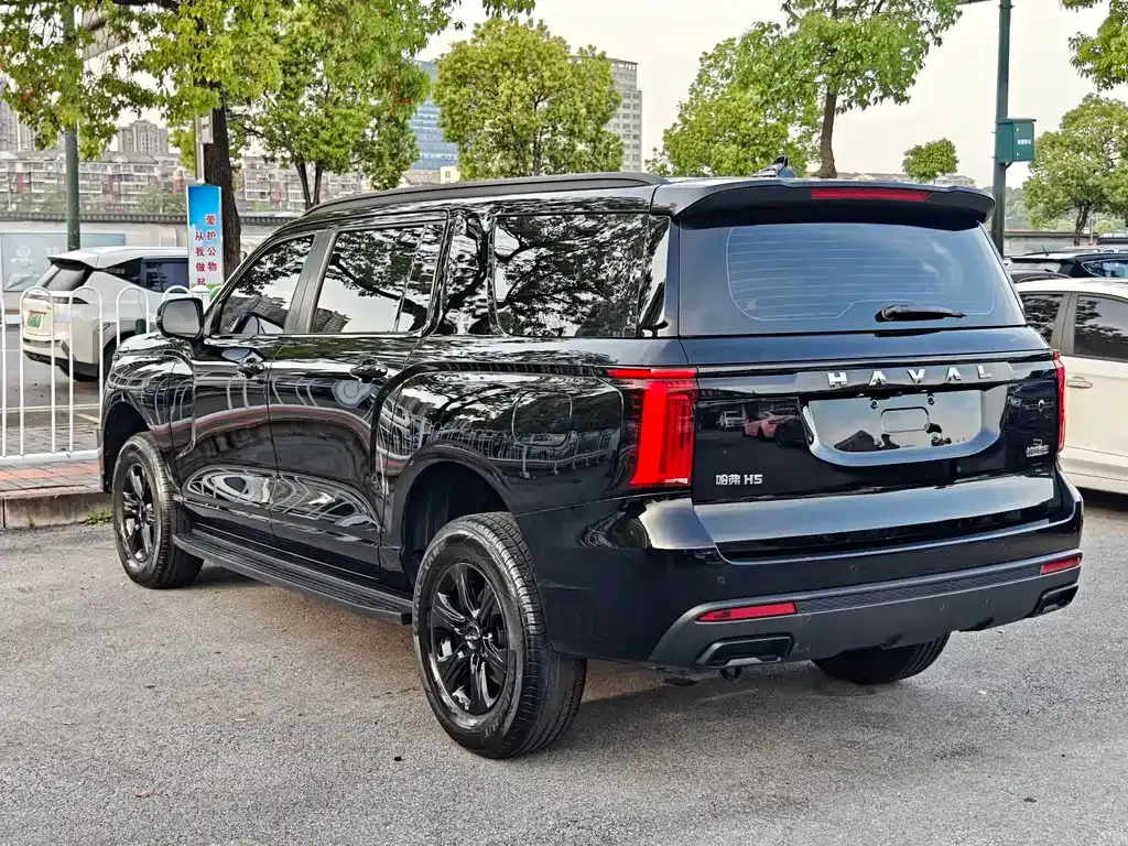Haval H5 2025 из CN, фото 8