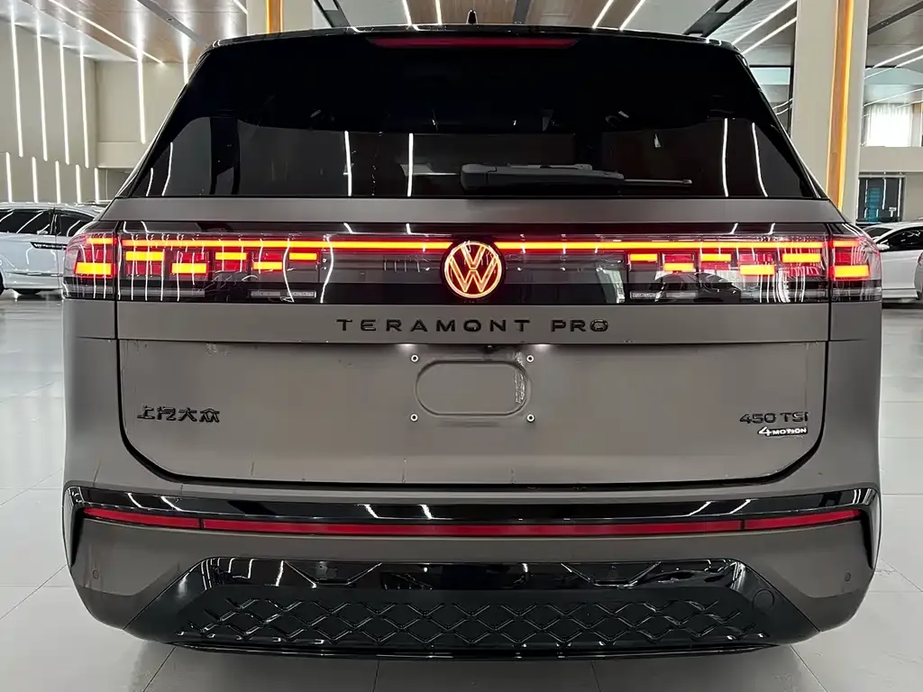 Volkswagen Teramont X — фото 6