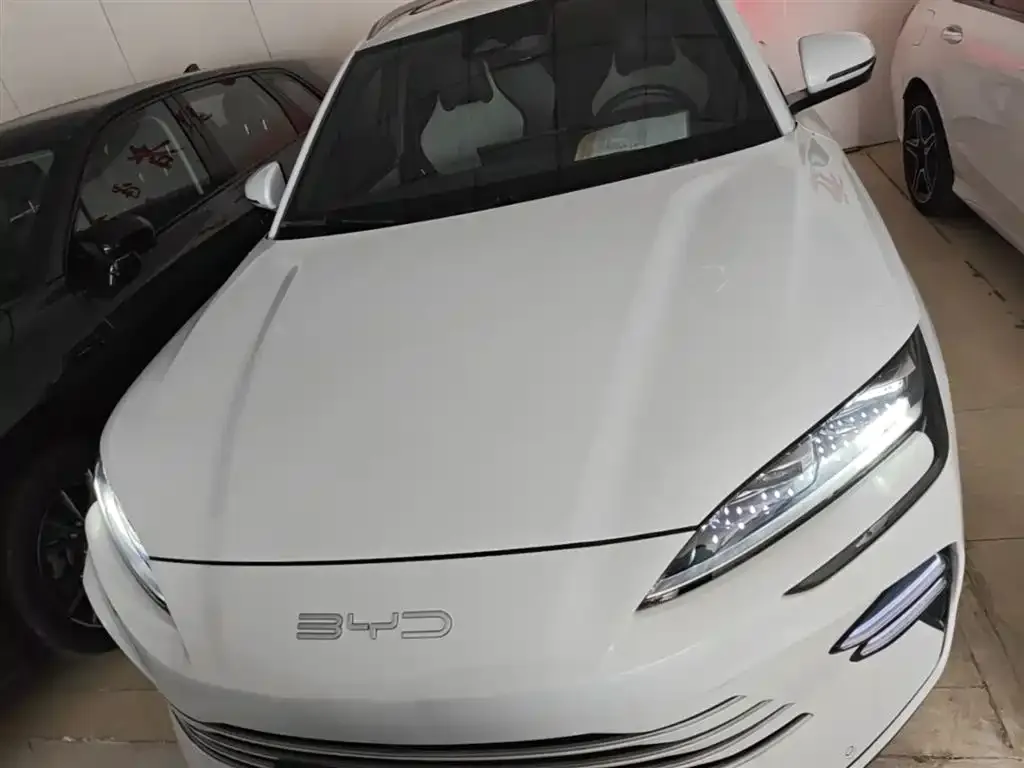 BYD PLUS New Energy — фото 4