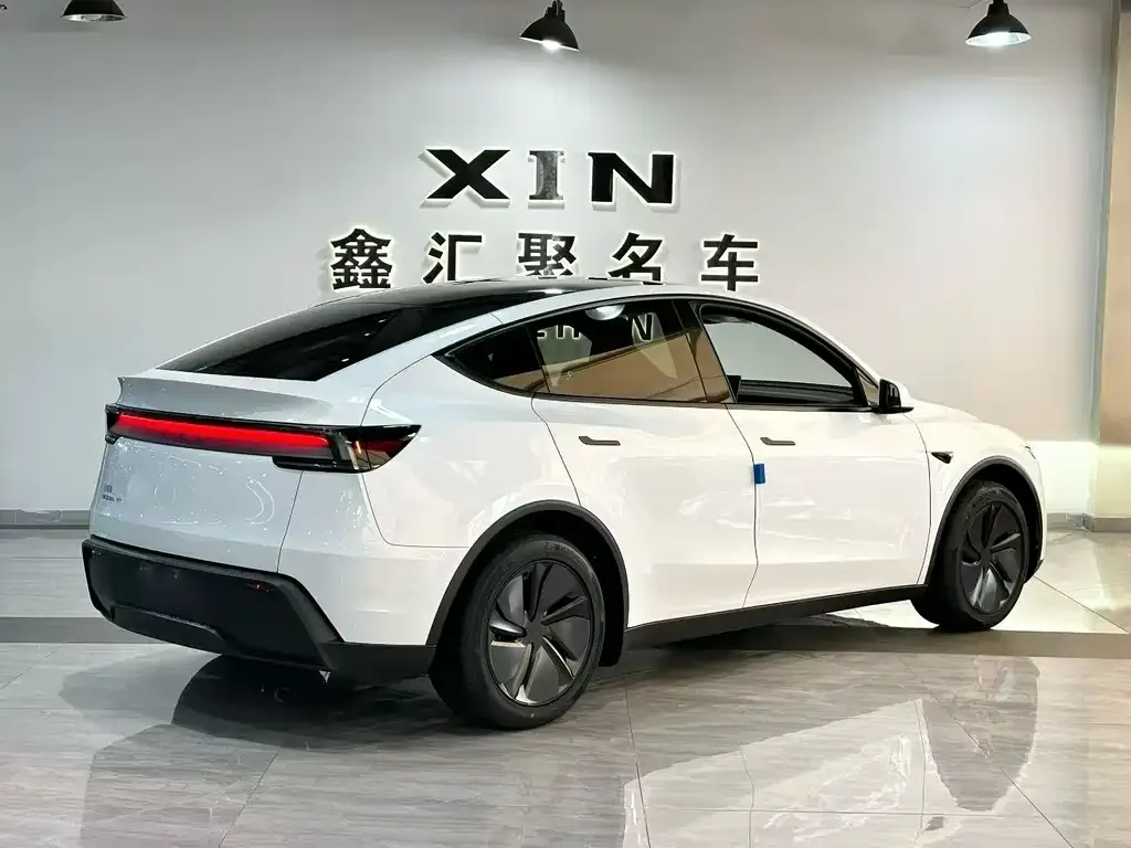 Tesla Model Y — фото 6