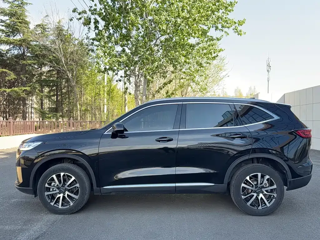 Haval H6 — фото 10