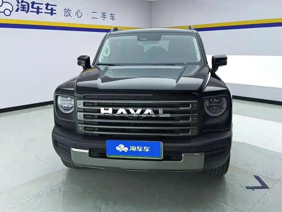 Haval Menglong New Energy 2024 из CN, фото 9