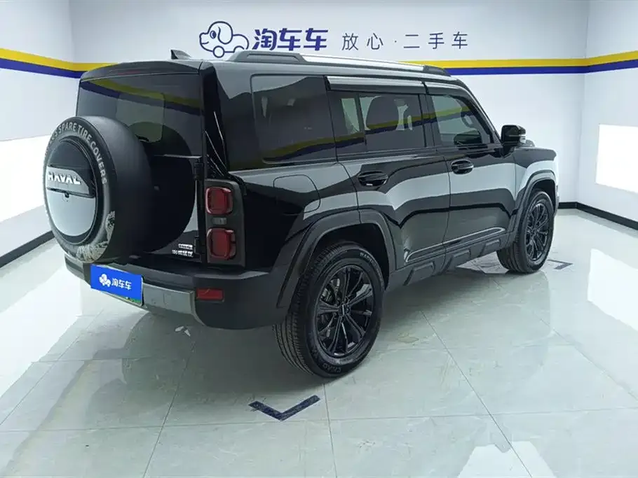 Haval Menglong New Energy 2024 из CN, фото 6