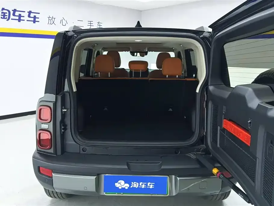 Haval Menglong New Energy 2024 из CN, фото 4
