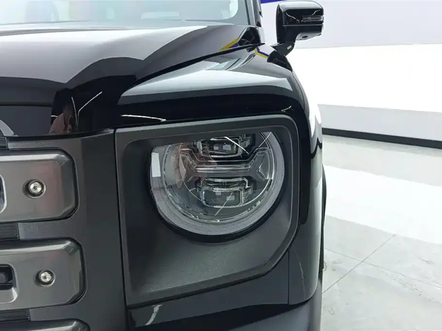 Haval Menglong New Energy 2024 из CN, фото 3