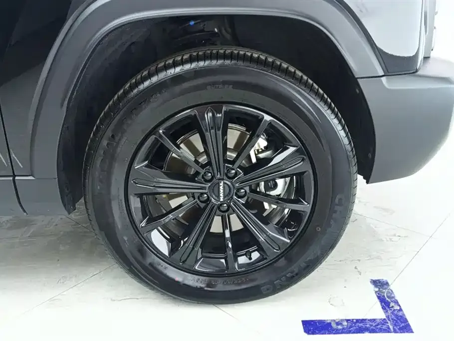 Haval Menglong New Energy 2024 из CN, фото 5