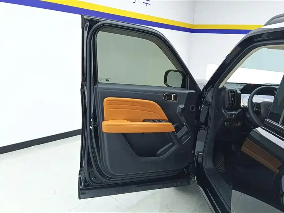 Haval Menglong New Energy 2024 из CN, фото 2