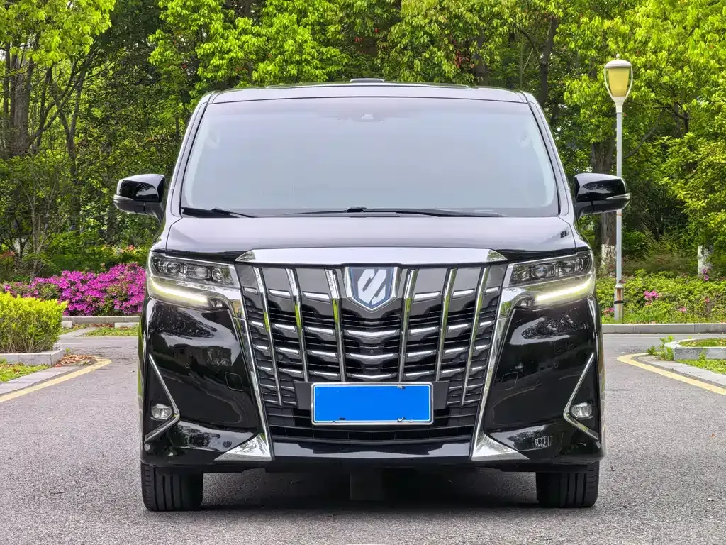 Toyota Alphard — фото 10